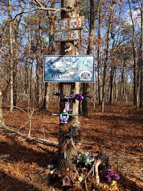 A Memorial in the Woods