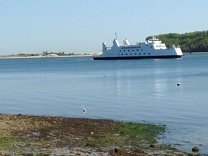 Egret & Ferry