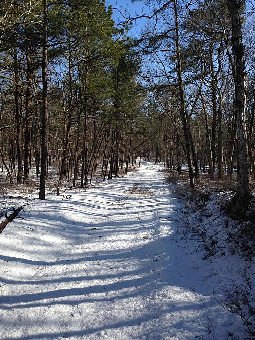 Brookhaven State Park 4