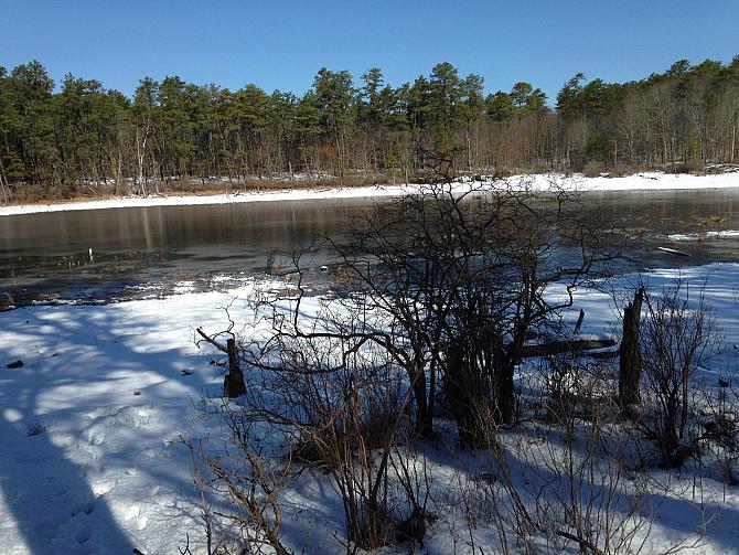 Brookhaven State Park 8