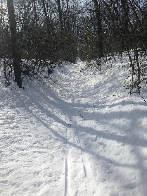 Down Hill on XC Skis