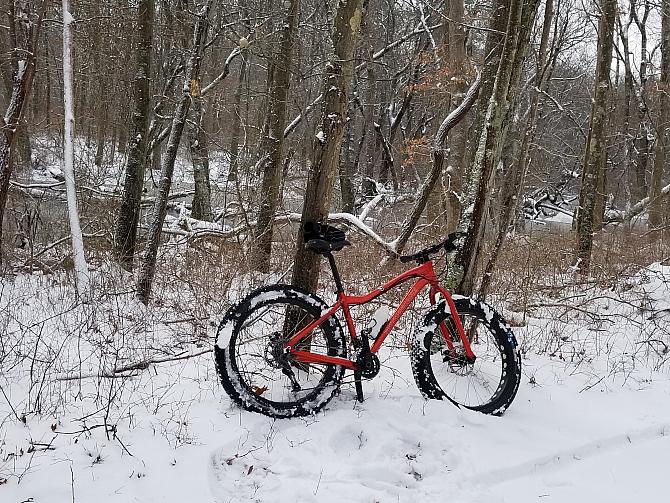 Rich's Bike in His Backyard