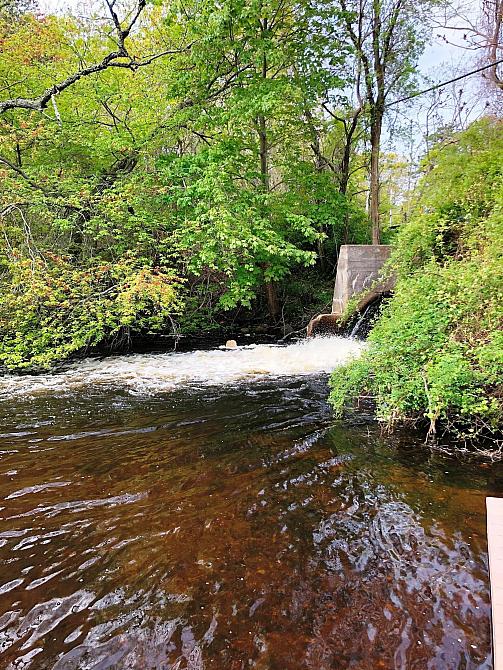 Below the Dam