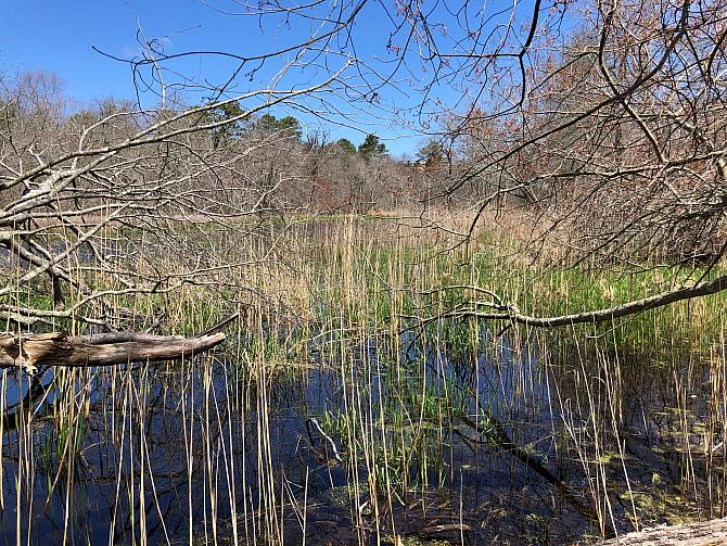 Peconic River 2