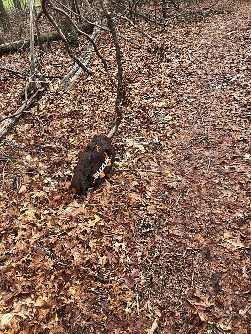 Scenic Trail Trash