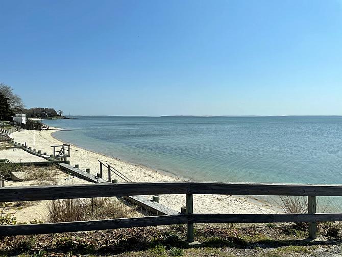 View on Bill's Peconic meander