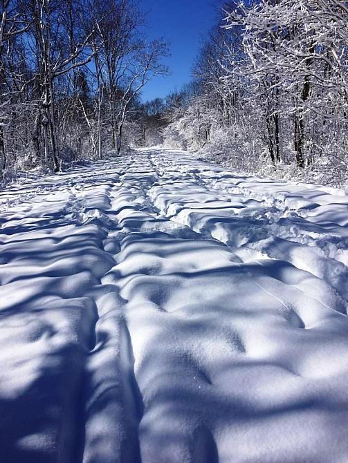 Ronnie's Trek at PJS-Setauket Trail 2