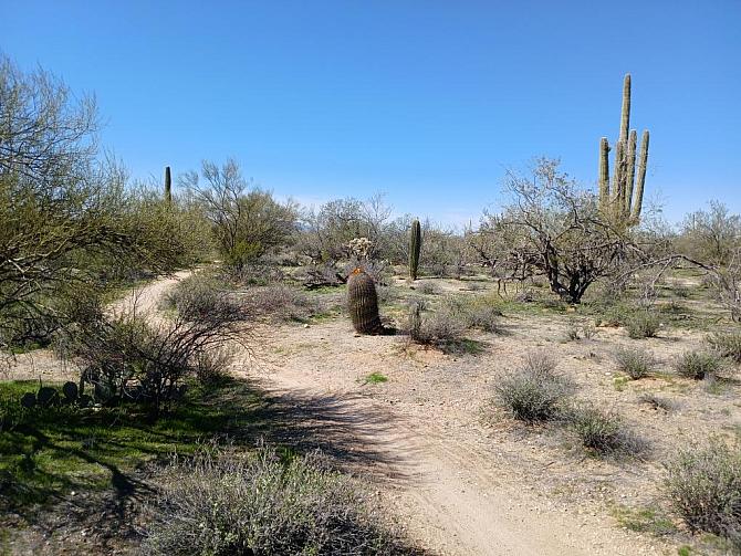 The Mtn Bike Trail ...