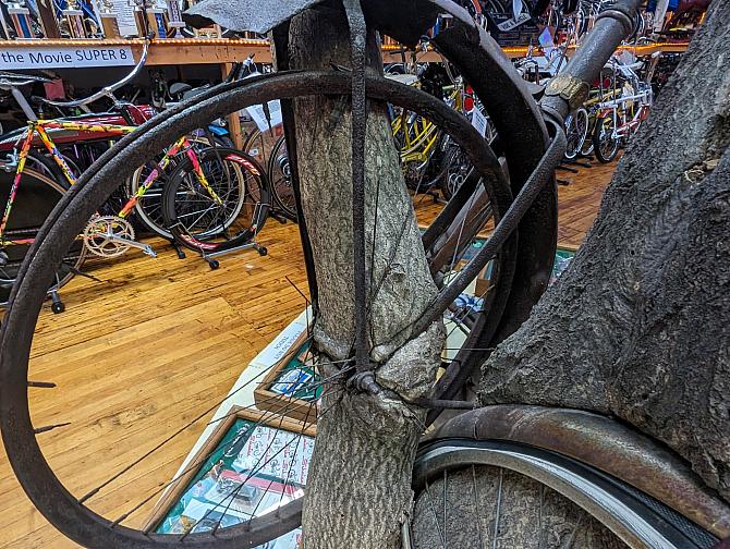 biketree