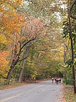 2012_10_27_CemetaryRide_Foliage