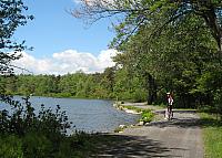 LakeAwostingTrail