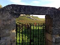 38_St. Emilion