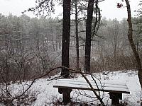 Meditation Bench 1