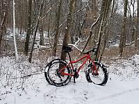 Rich's Bike in His Backyard