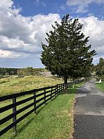 NYBC10 Setauket Meadow