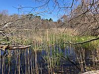 Peconic River 2