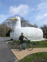 St Baldrick's Ride to Montauk 2