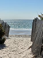 A Scenic Shot at the Beach ...